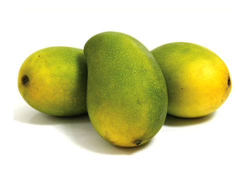 Mango - Langra