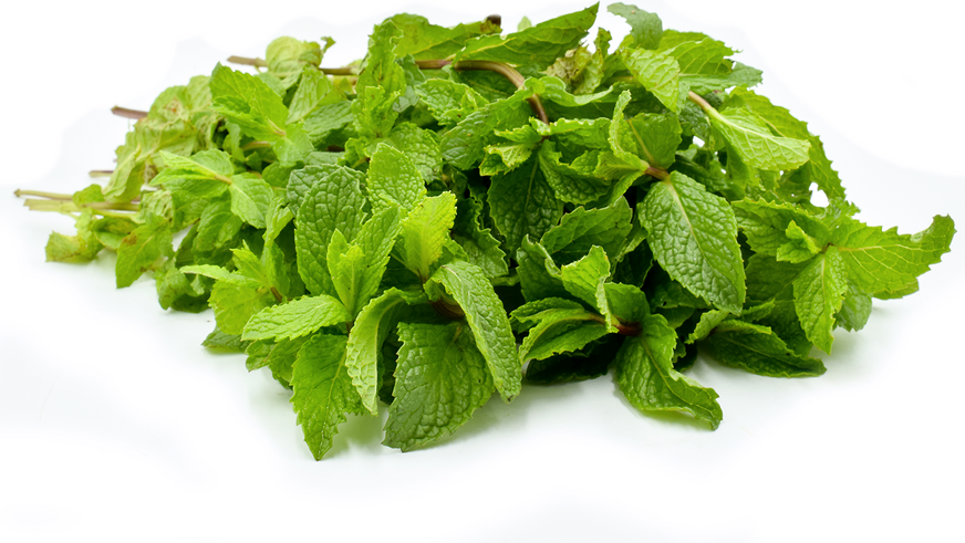 Mint Leaves - without Root
