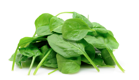 Spinach (Palak - without Root)