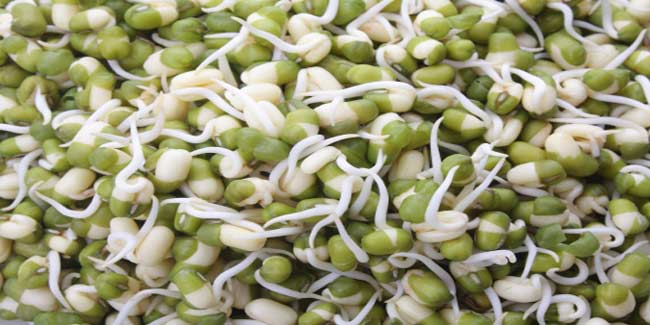 Sprouts - Moong Green