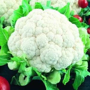 Cauliflower - Organically Grown