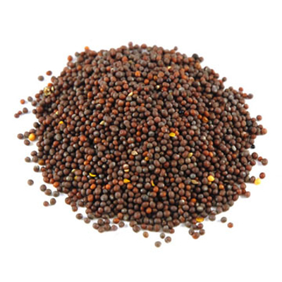Rai dana (mustard seeds)